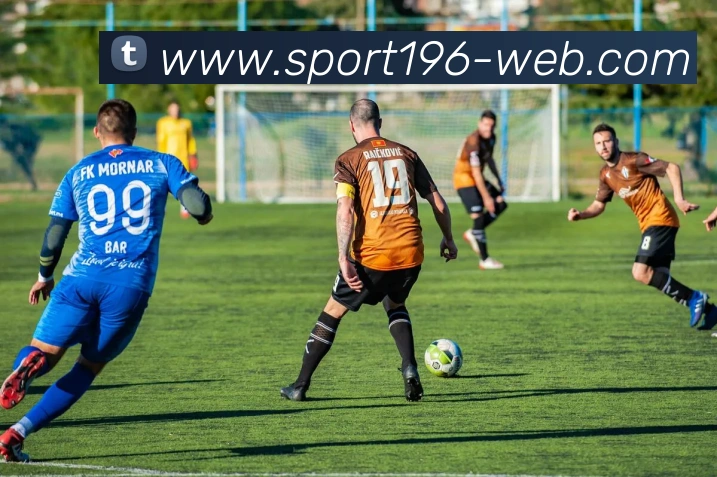 196体育平台生态图